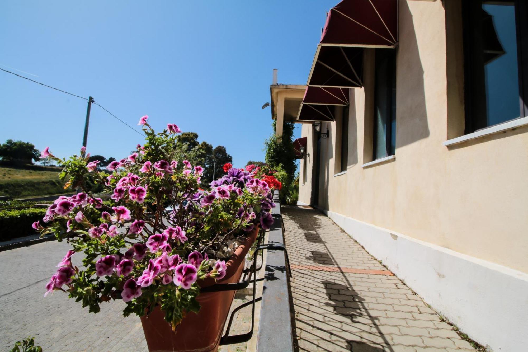 Agriturist Soleluna 卡尔塔吉罗 外观 照片